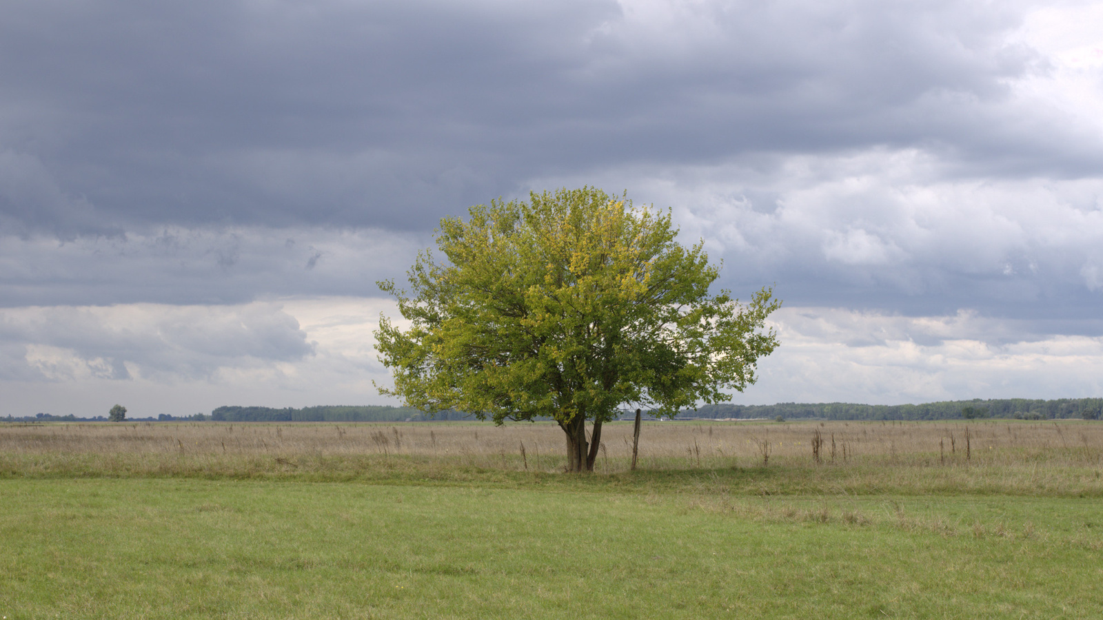 bugaci puszta