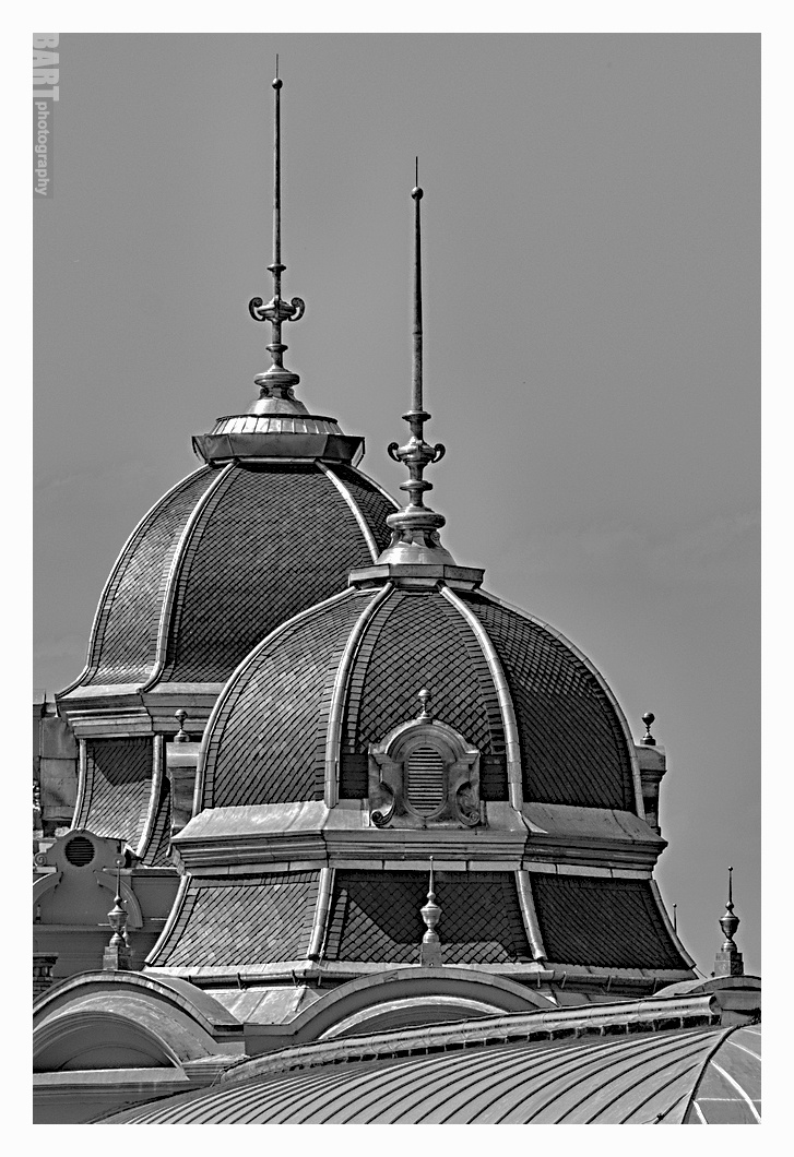 Budapest in Black and White 2.