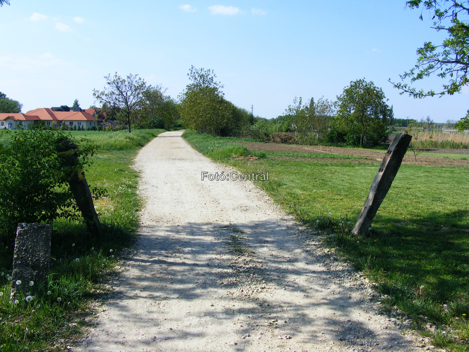 Látkép Fertőszentmiklós állomás felé.