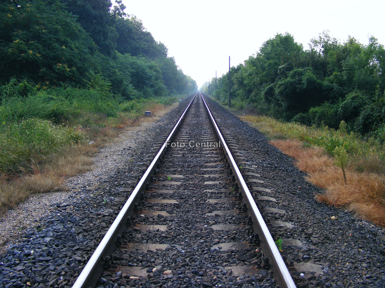 Az egykori állomás után,a nyílt vonal Bősárkány állomás felé néz