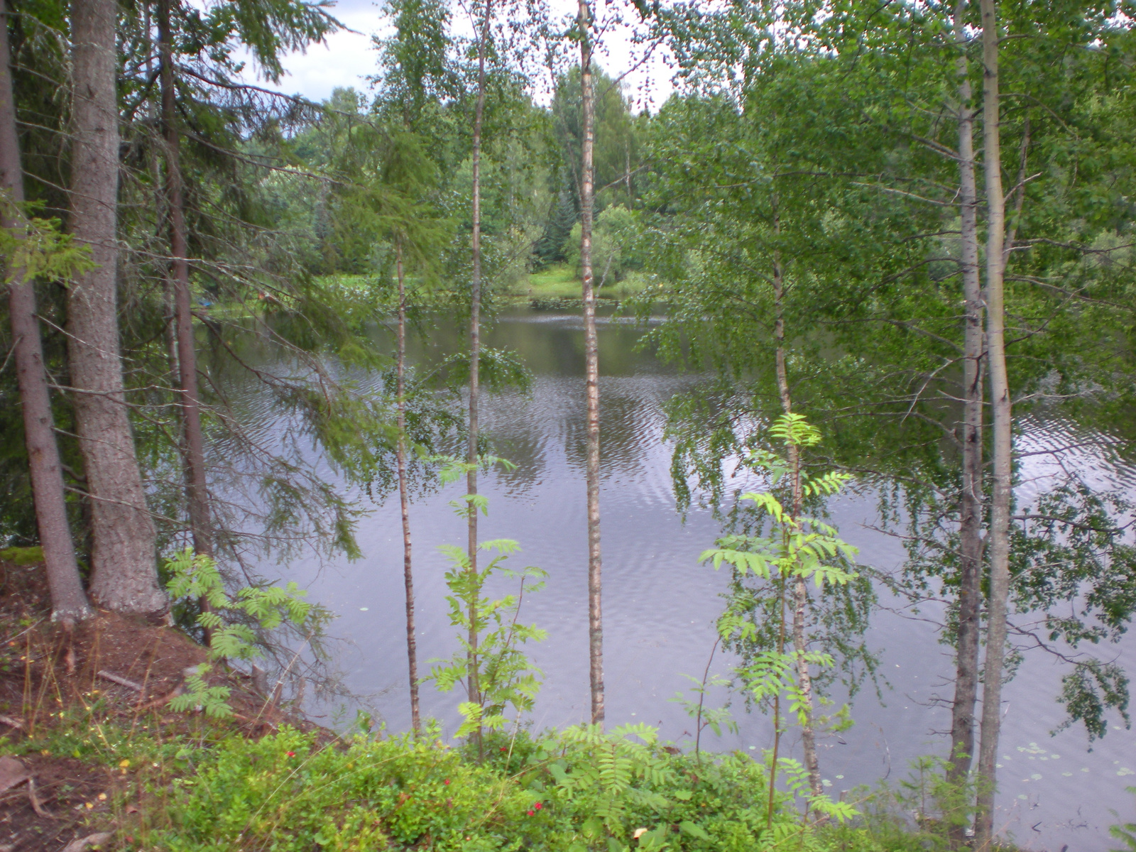 tipikus finn 'városrészlet'