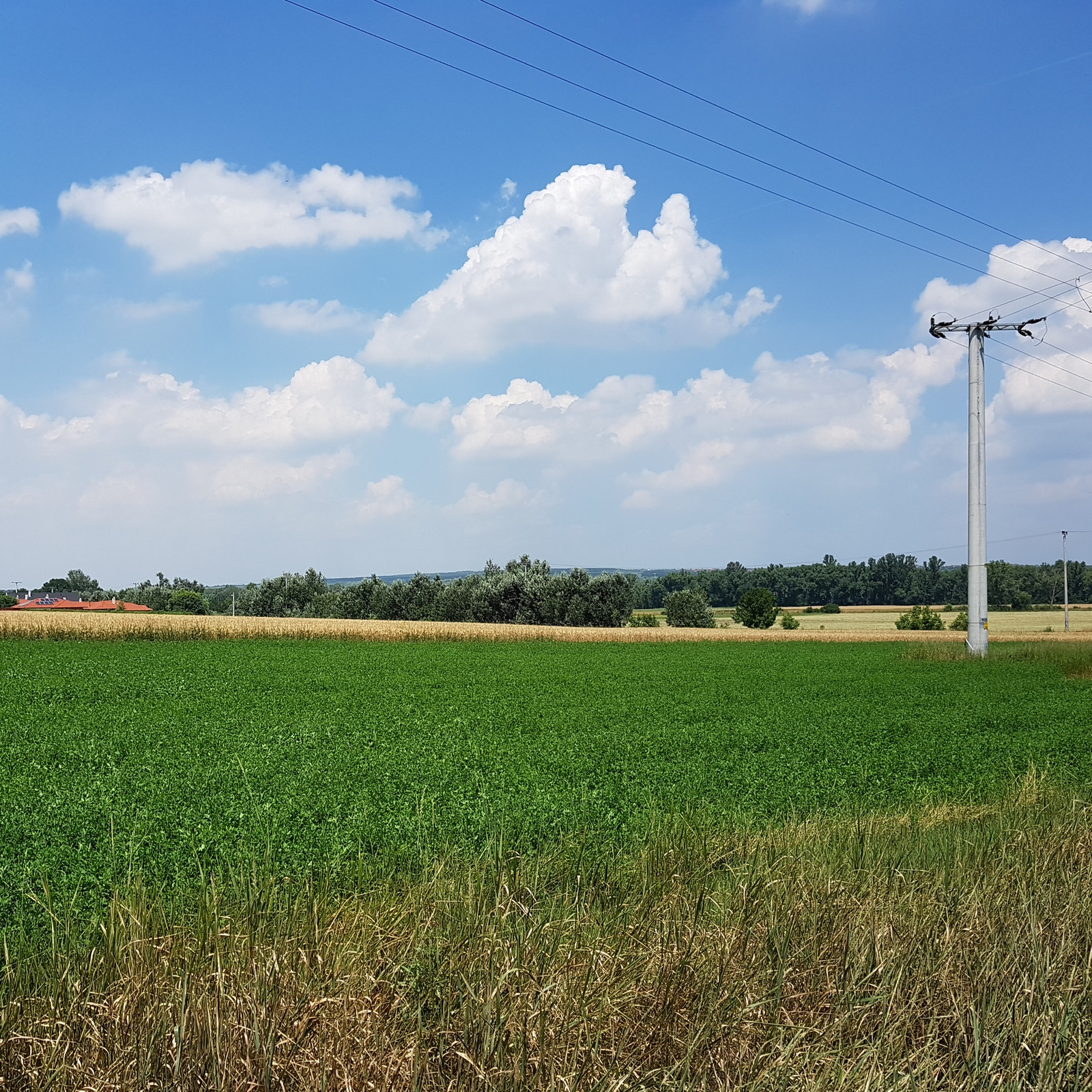 Tàvolban a Benta patak