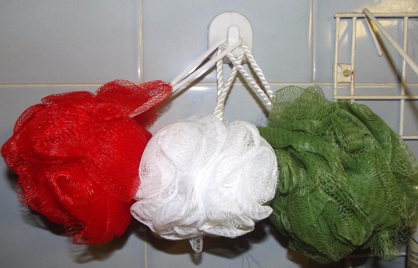 Fürdőrózsák tricolorban