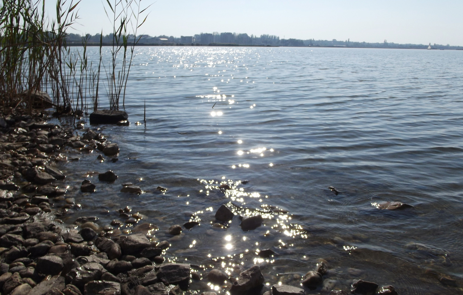 Napfény csillan a tó vizén
