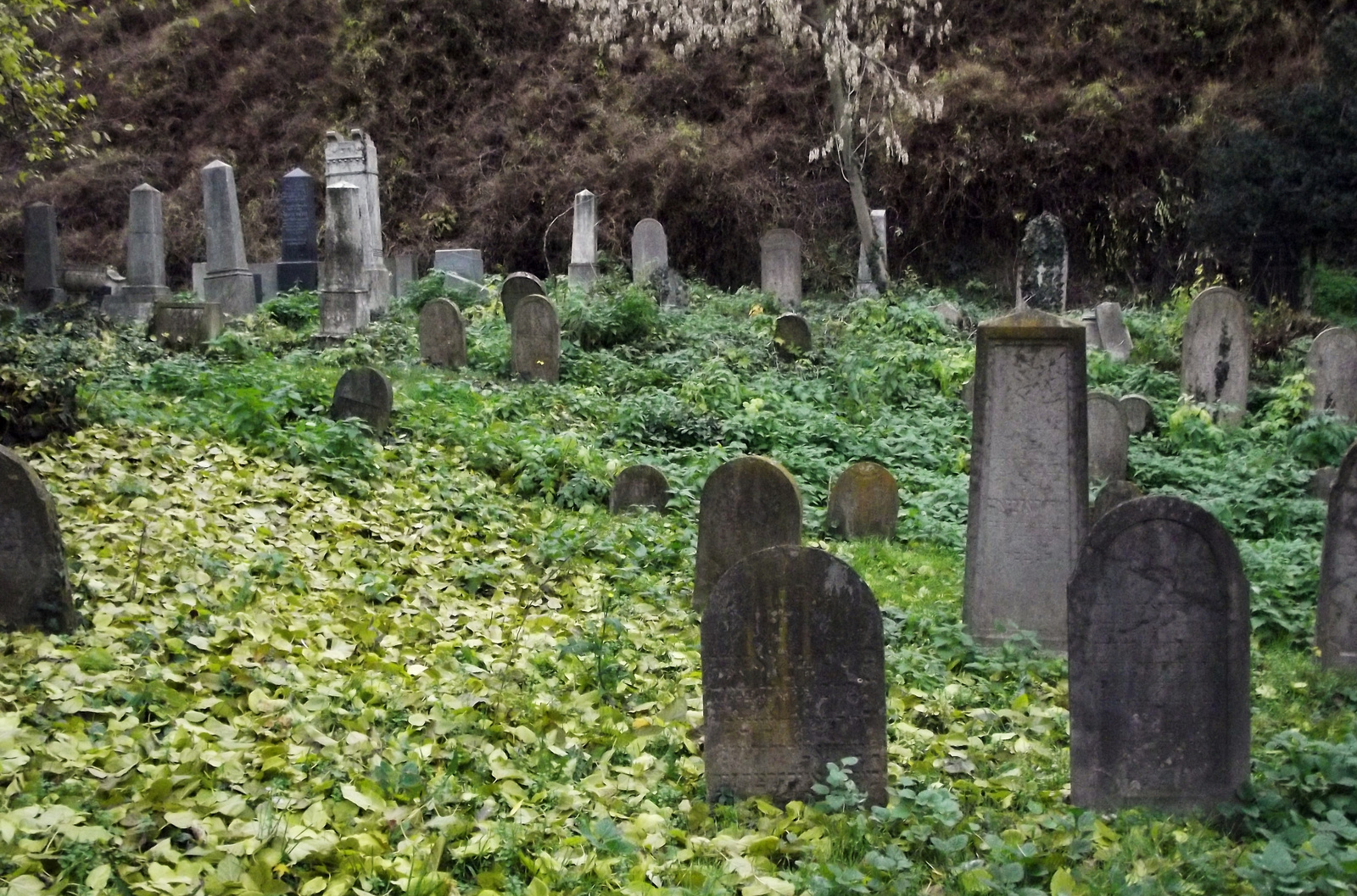 Régi-régi zsidó temető