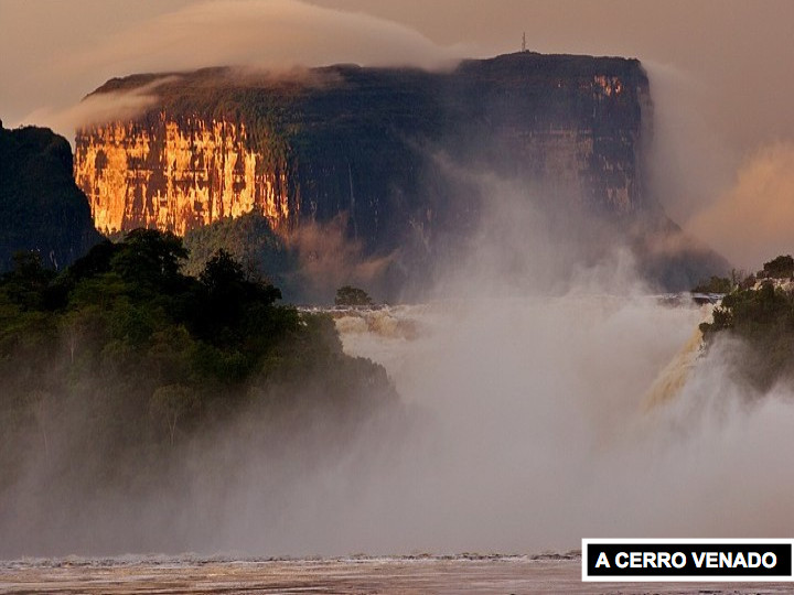 CANAIMA NEMZ.023