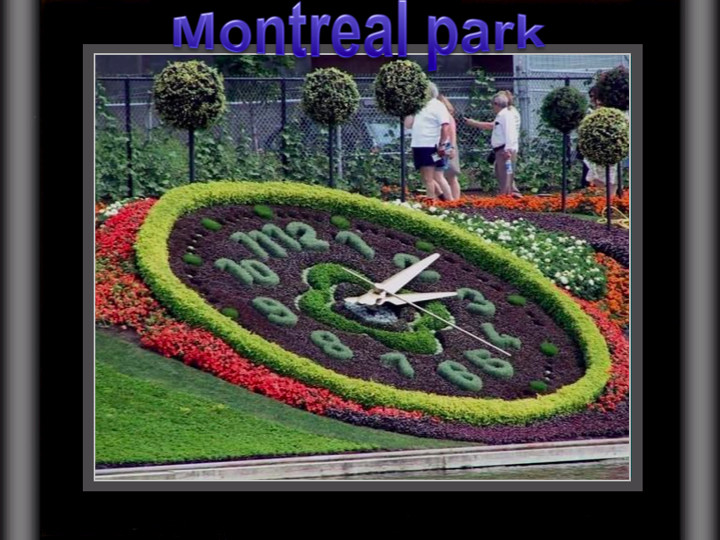 Montreal park.001