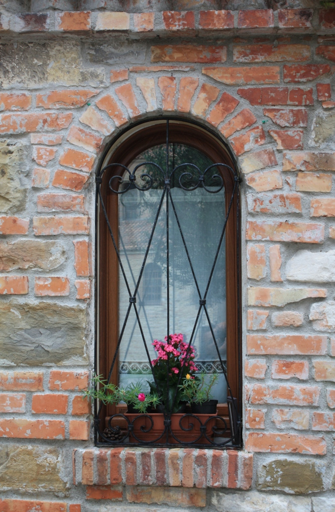 Window 6