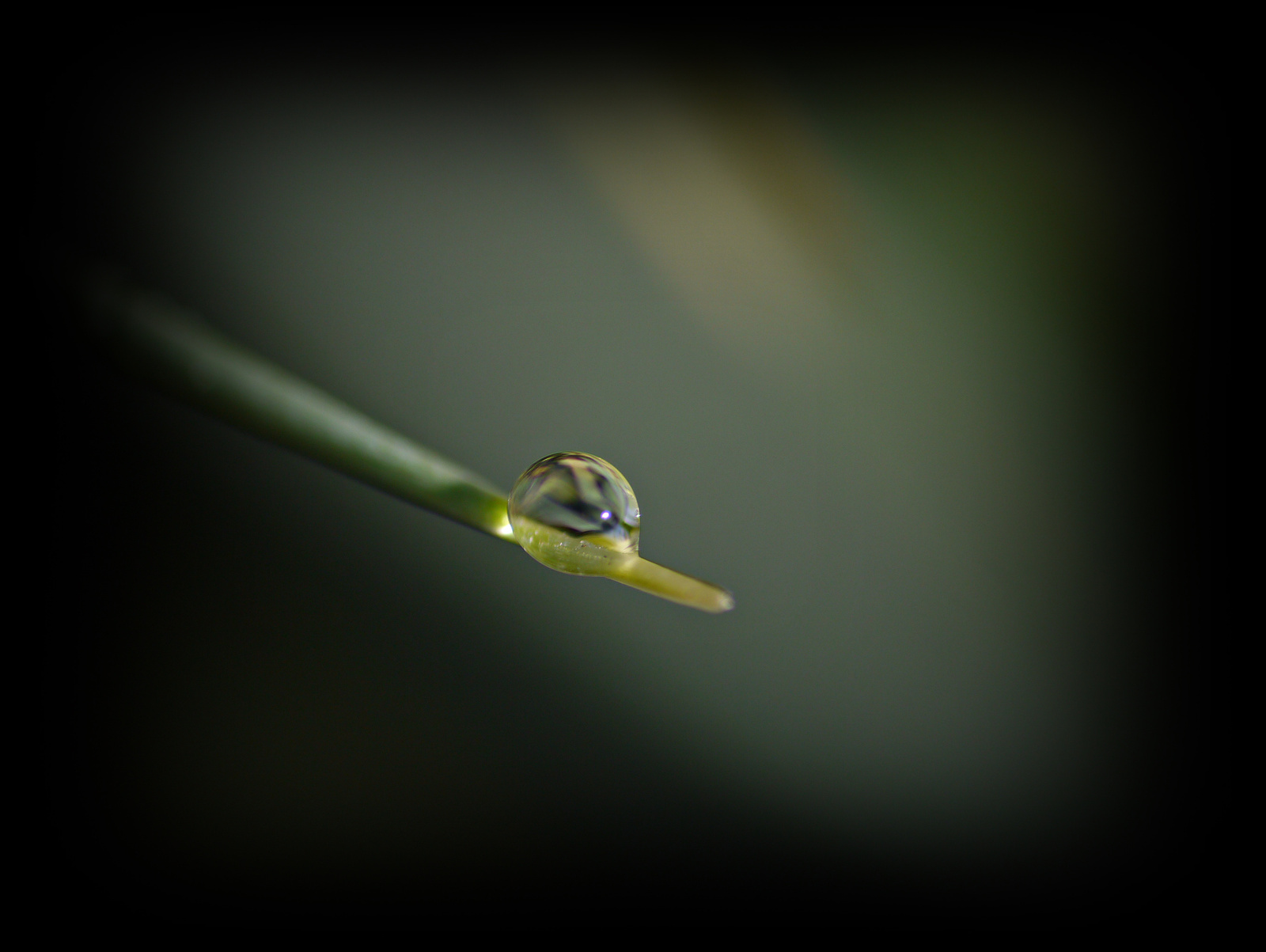 Macro,harmatcsepp