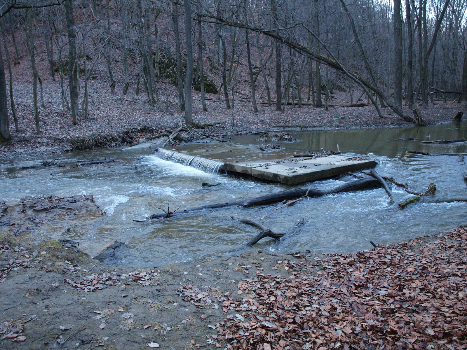 Gaja-szurdok