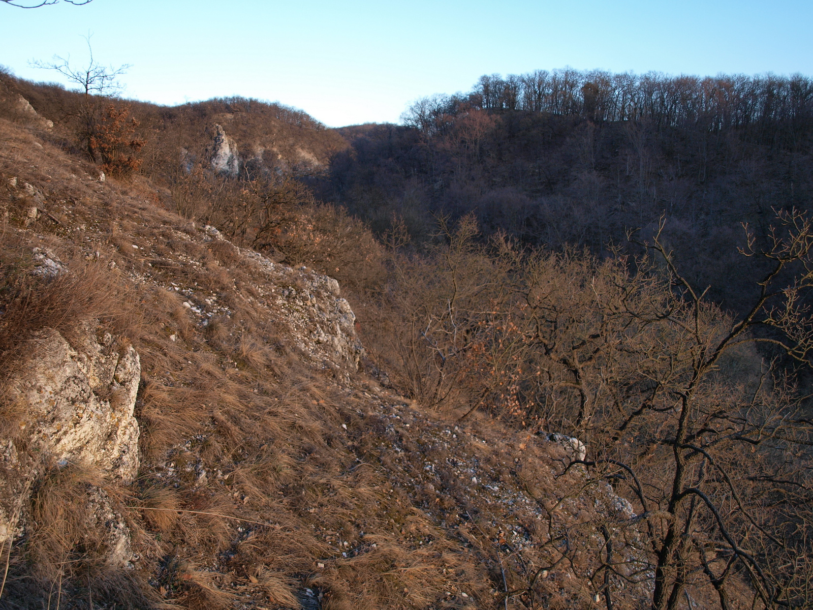 Gaja-szurdok