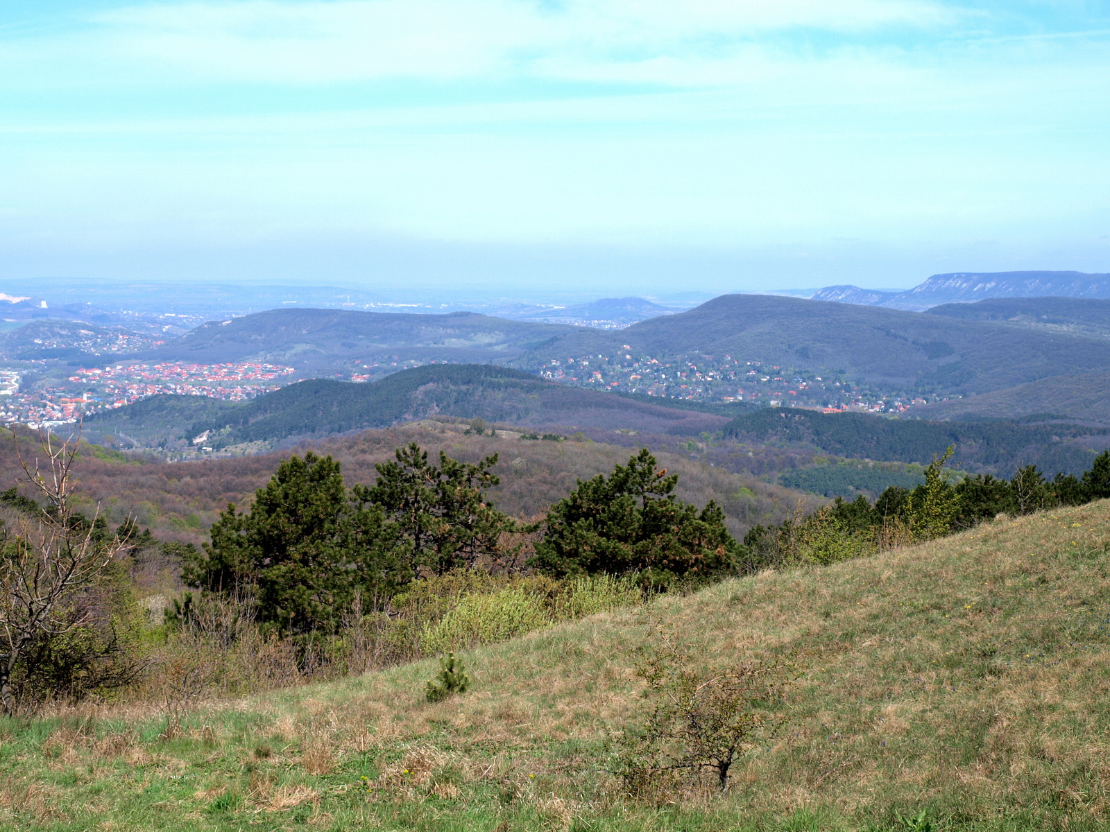 Nagy-Szénás