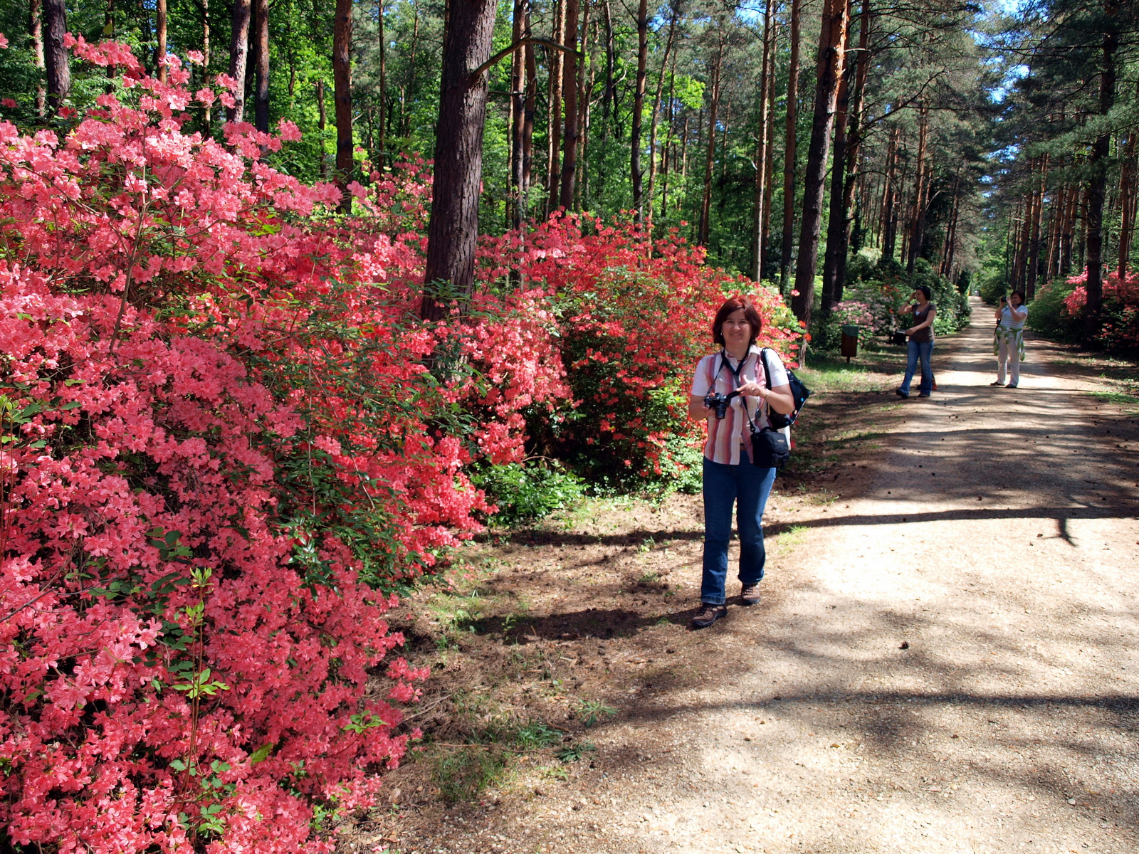 Jeli Arborétum