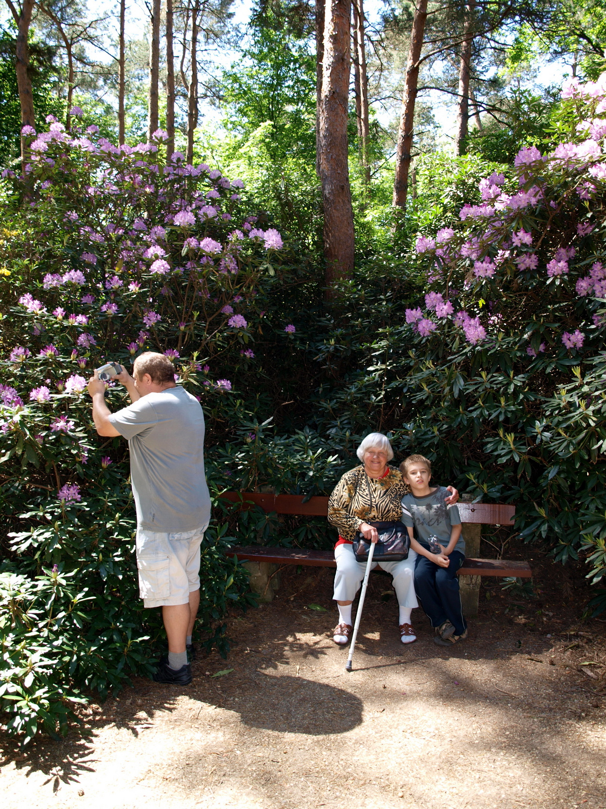 Jeli Arborétum