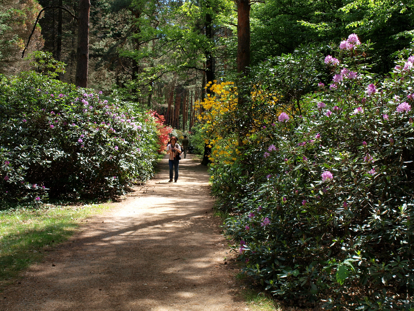 Jeli Arborétum