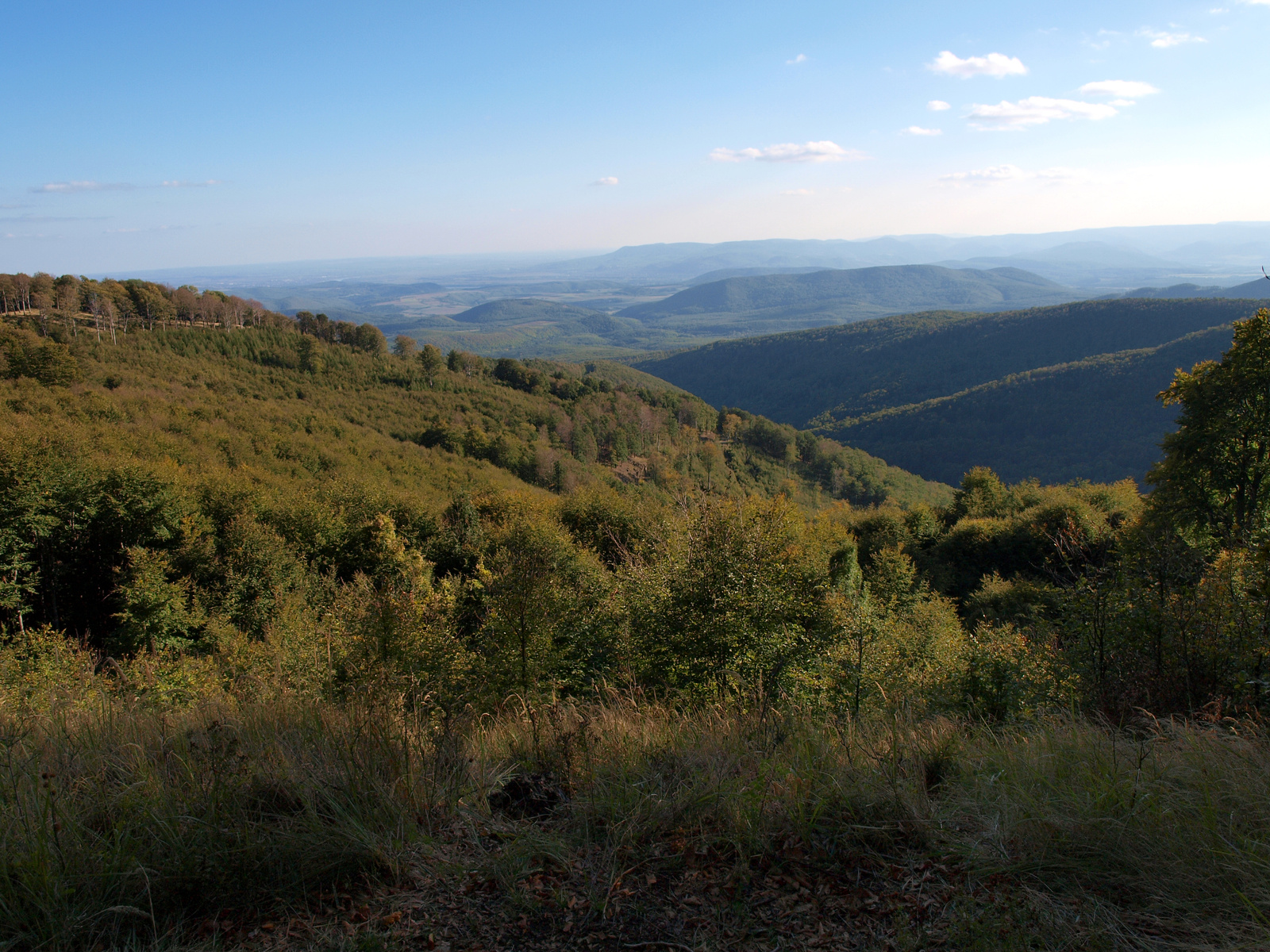 Börzsönyi panoráma