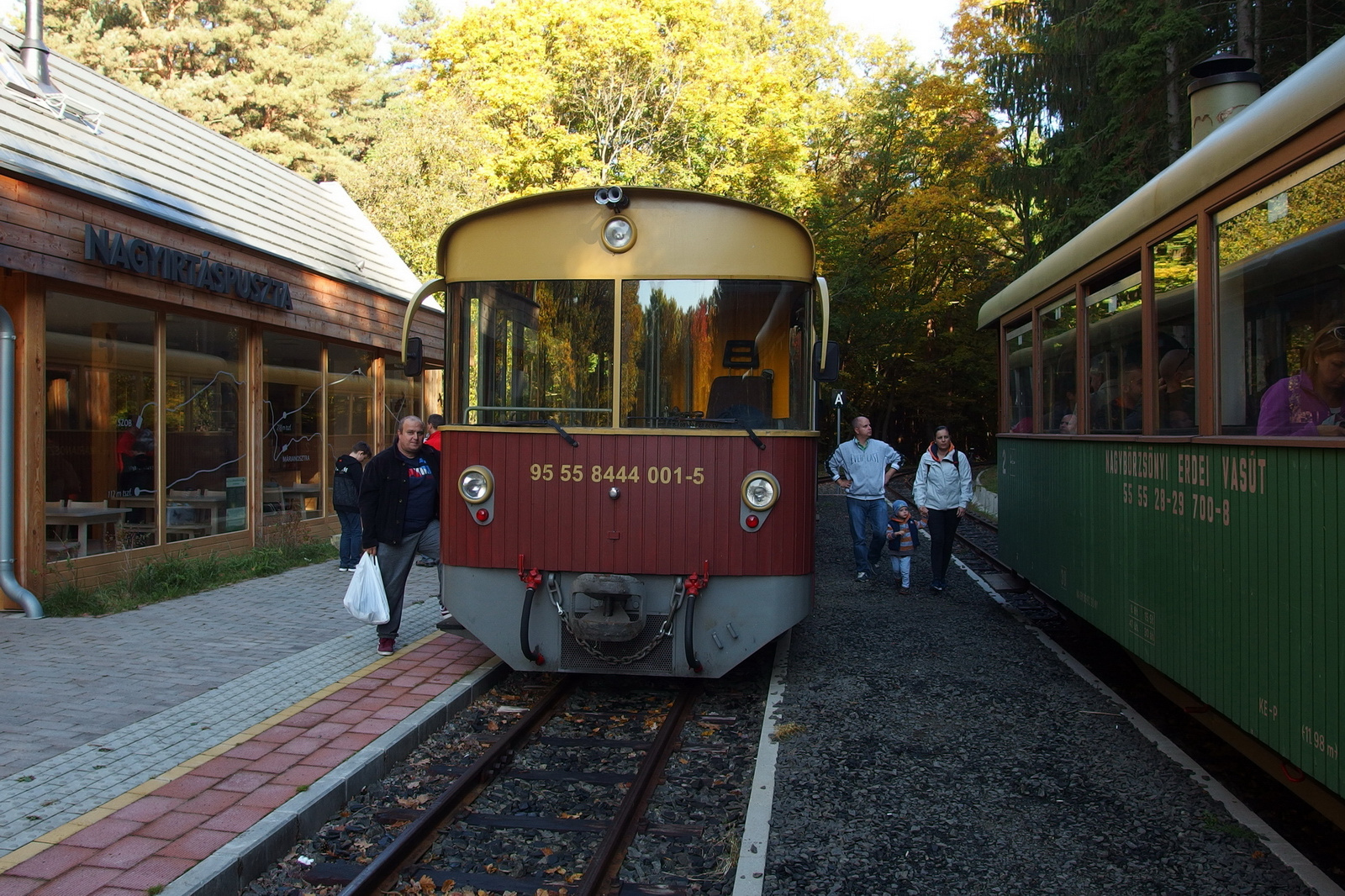 Bezina-Völgyi Erdei Vasút (Nagyirtás - Márianosztra) 02