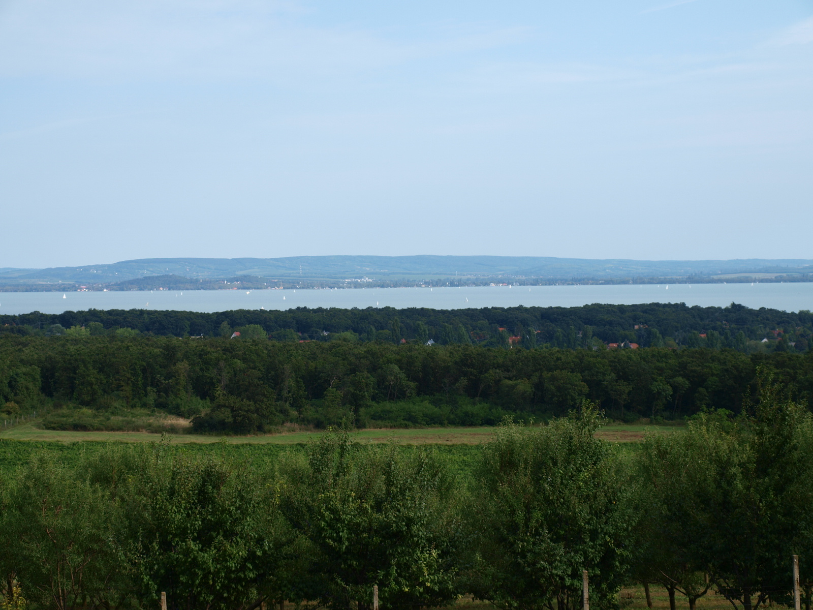 Kilátás a Balatonrendes feletti domboldalból