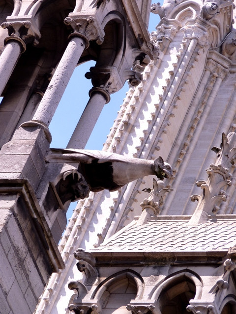 Cathédrale Notre Dame de Paris