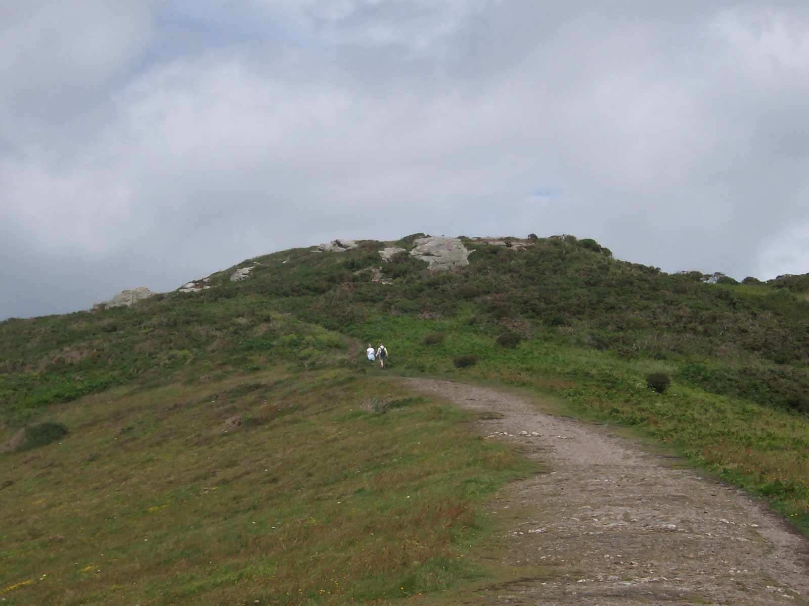 Salcombe Hills