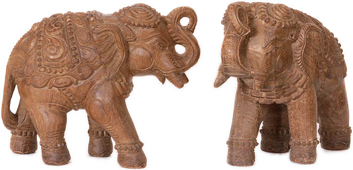 a pair of elephants with upraised trunks supremely rp49