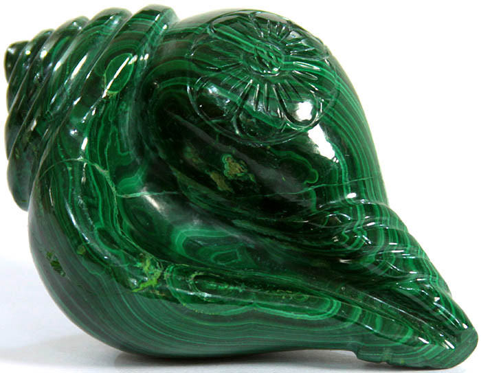 malachite conch rq49