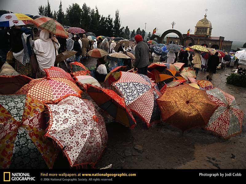 addis-ababa-umbrellas-650637-sw (Medium)