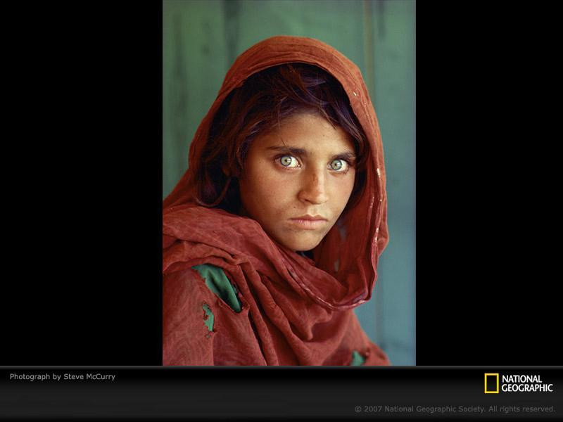 afghan-girl-portrait-127438-sw (Medium)