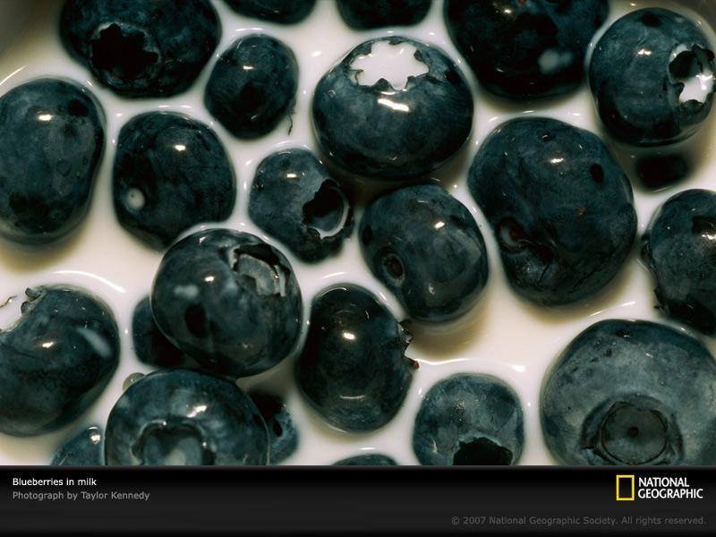 blueberries-in-milk-967735-sw (Medium)