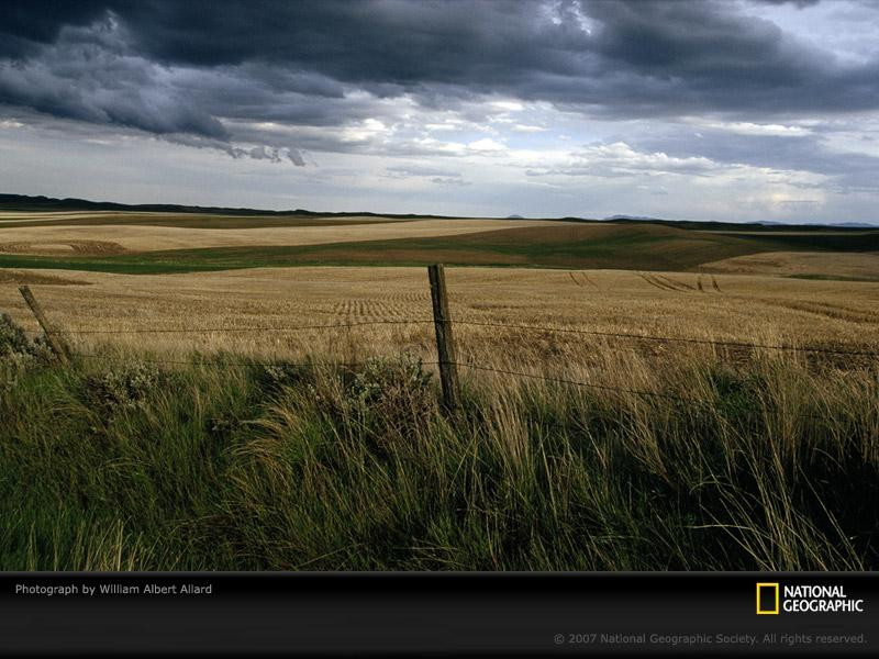 clouds-over-field-518272-sw (Medium)