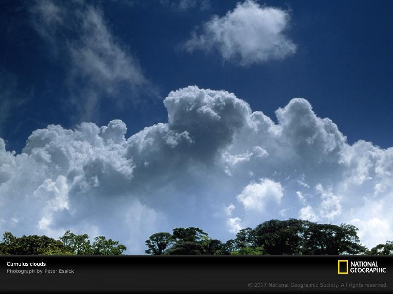 cumulus-clouds-blue-sky-764422-sw (Medium)