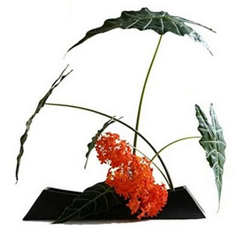 ikebana (Medium)