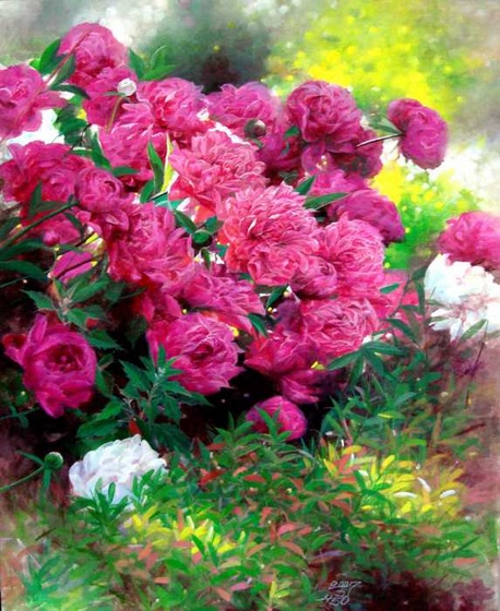 pink-peony-bo-li