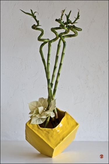 ikebana104c