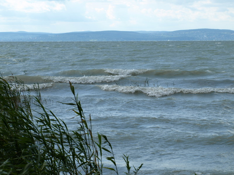 balaton2008+ 311