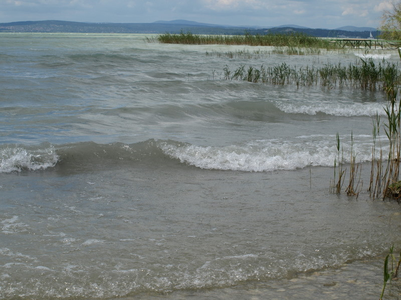 balaton2008+ 028