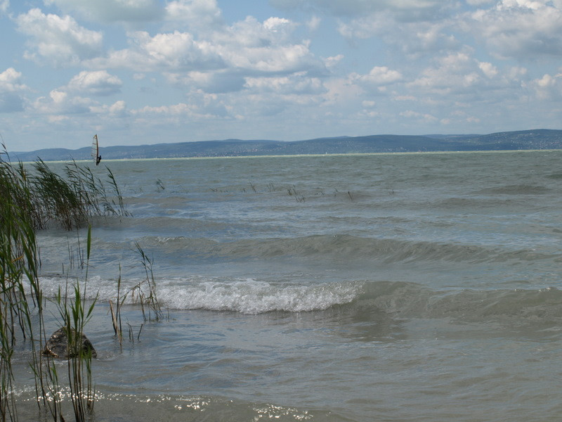 balaton2008+ 025