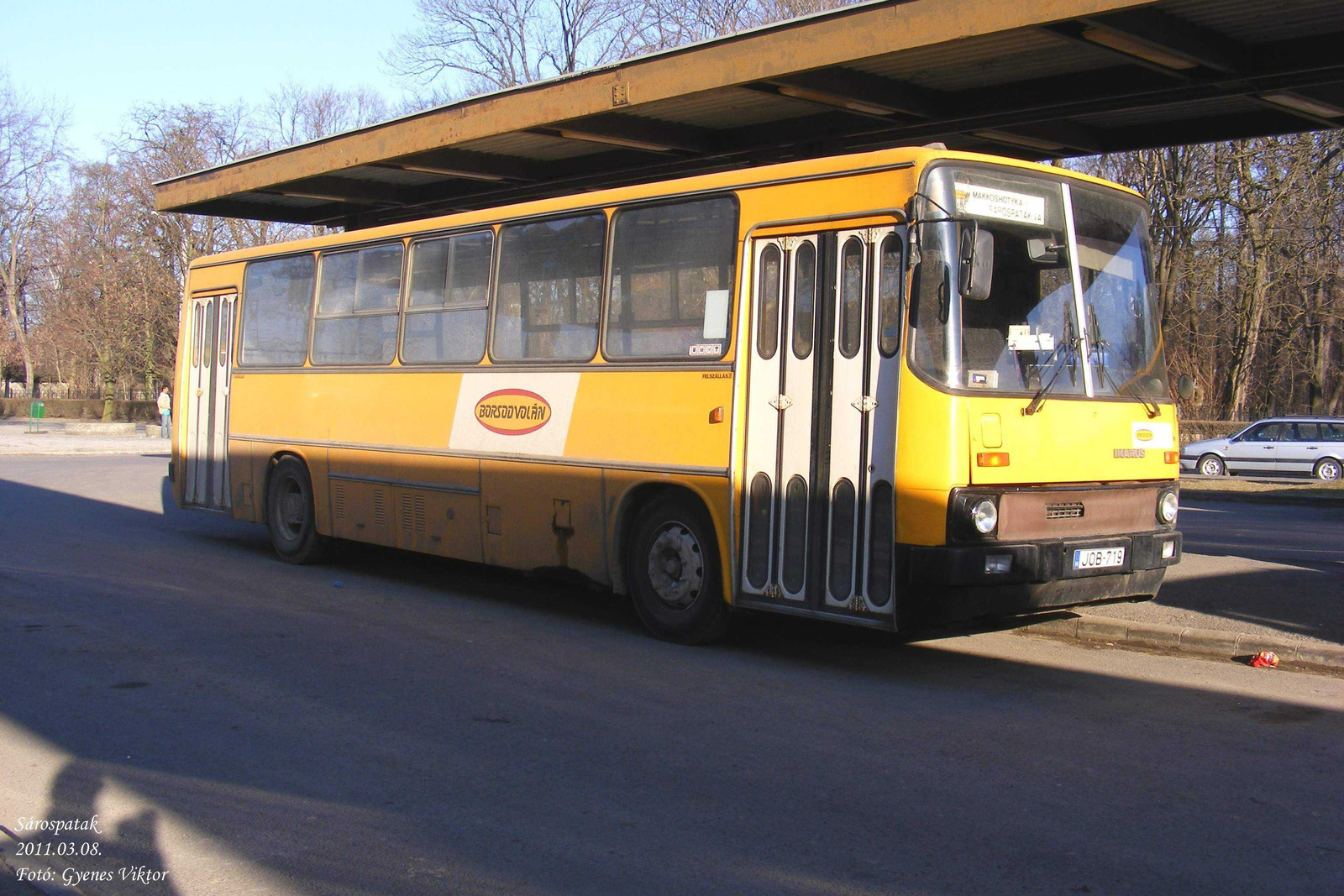 Ikarus 260-JOB-719