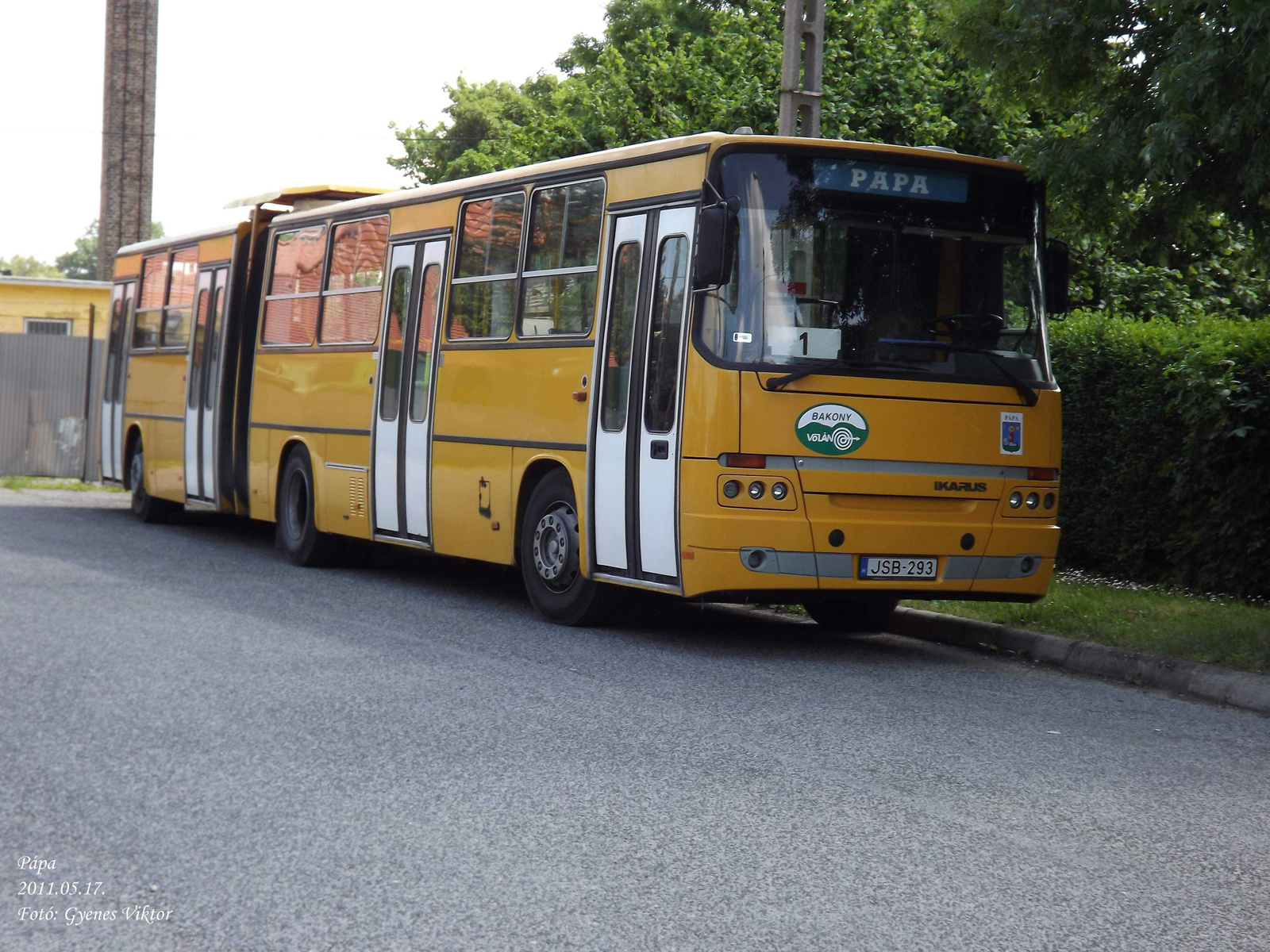 Ikarus Classic C80-JSB-293