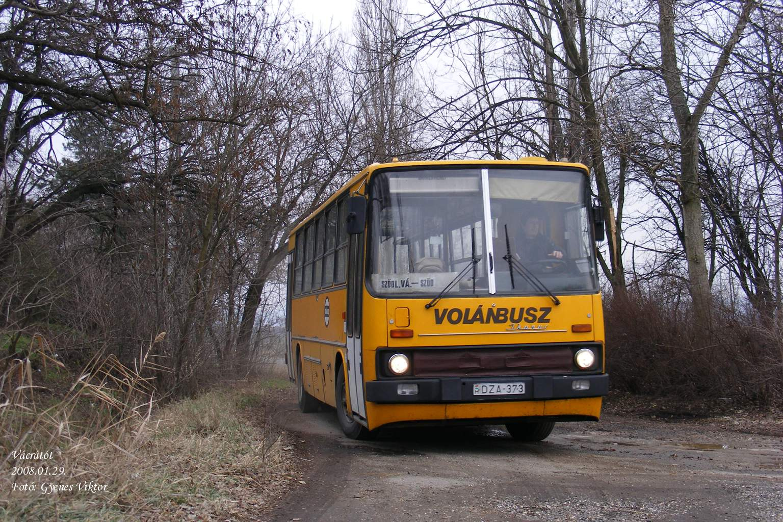 Ikarus 260-DZA-373