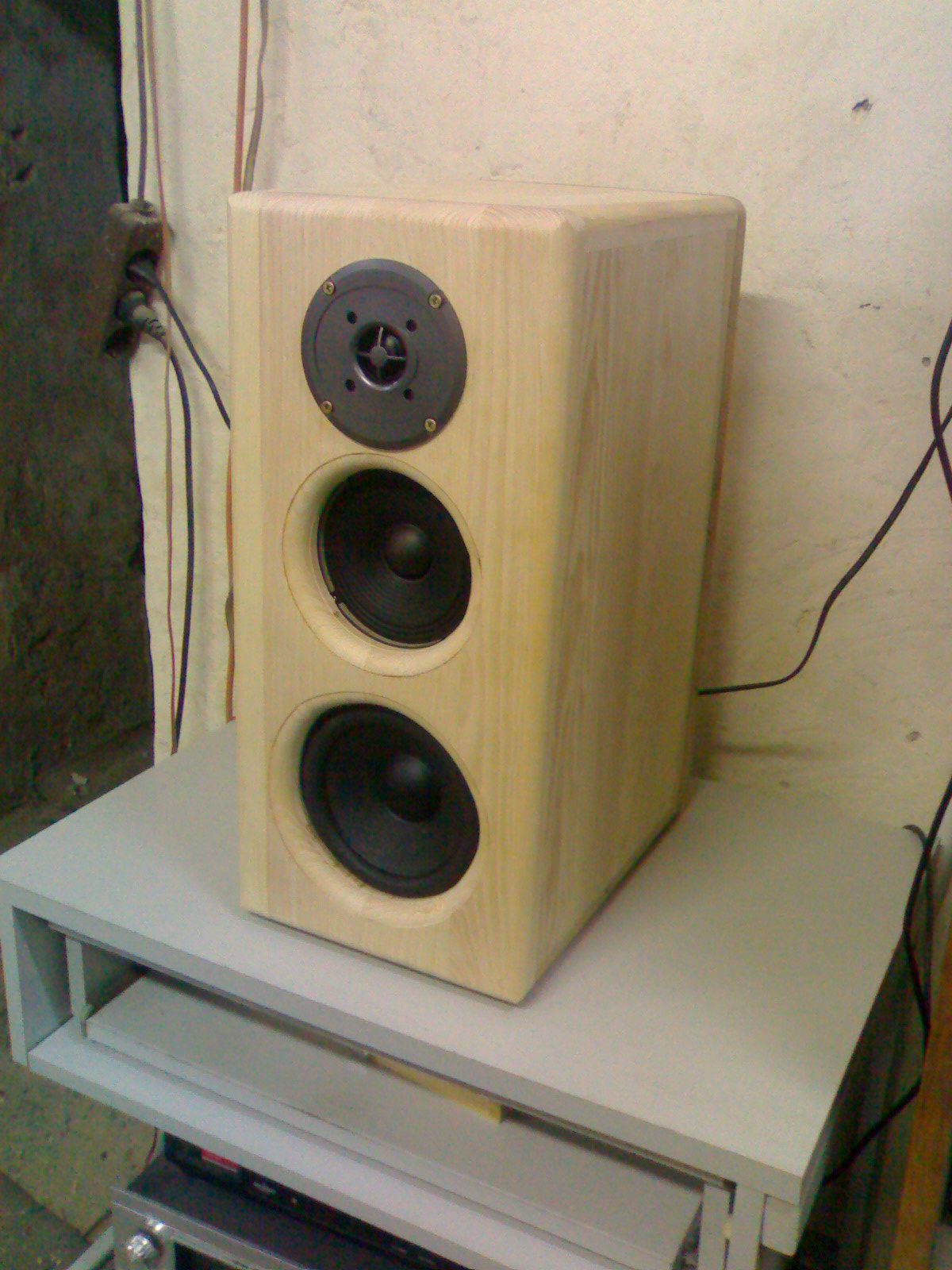 speaker (2)