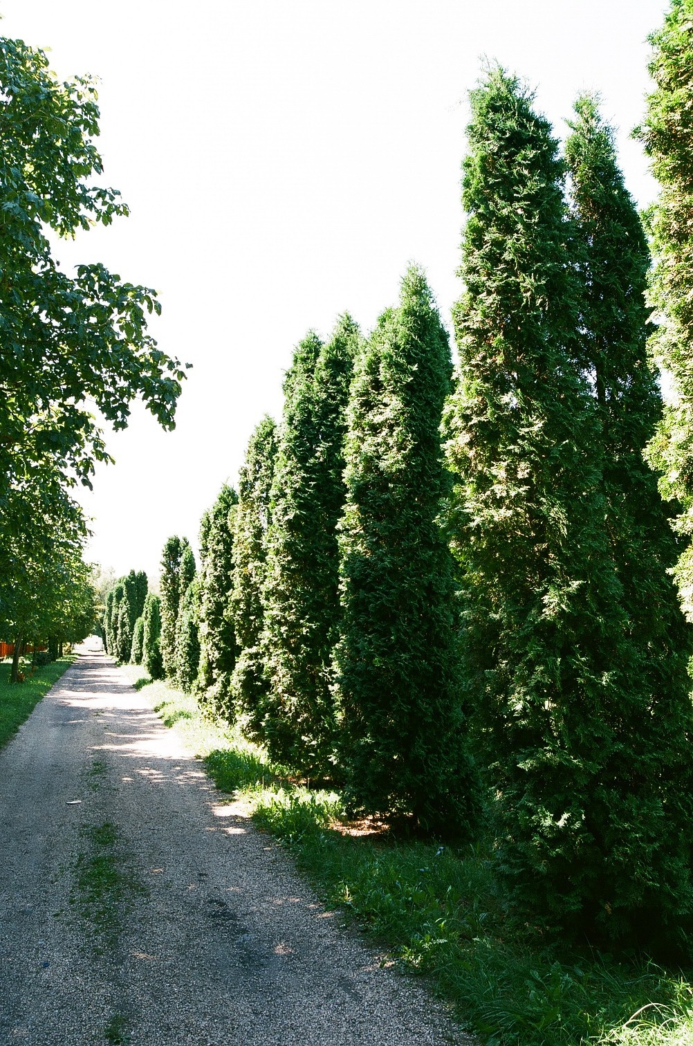 Dunaparti sétány