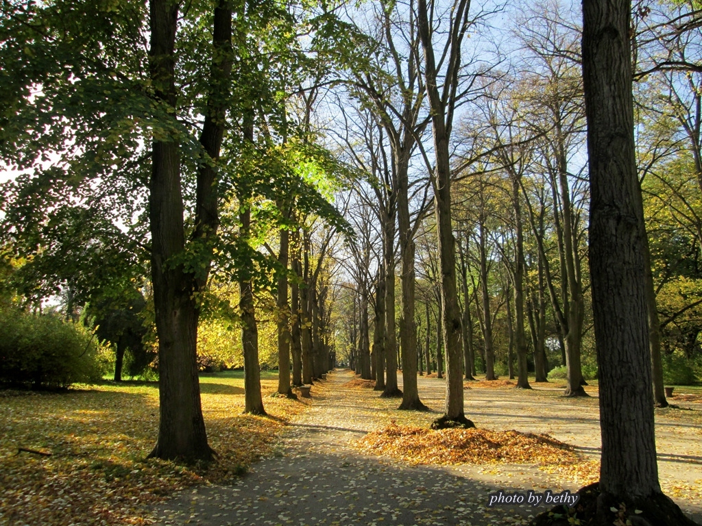 Fertőd kastélypark