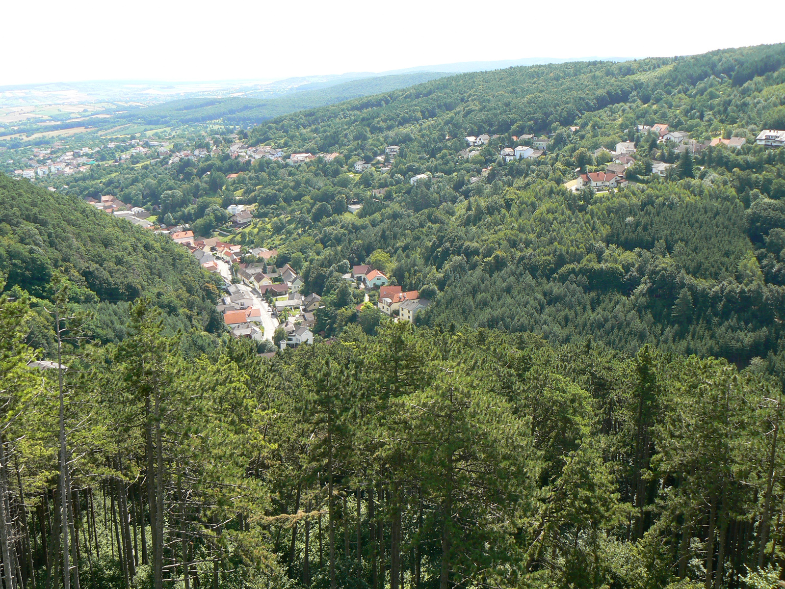 Panoráma