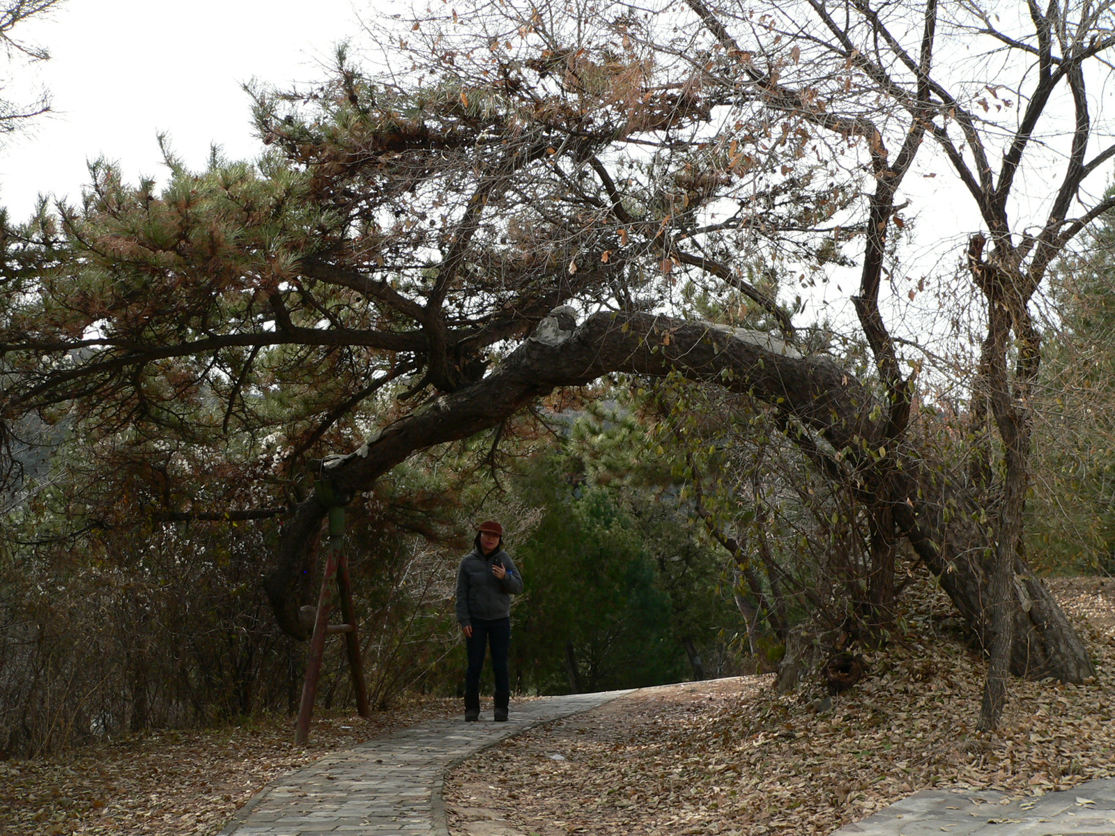 Chengde (101)