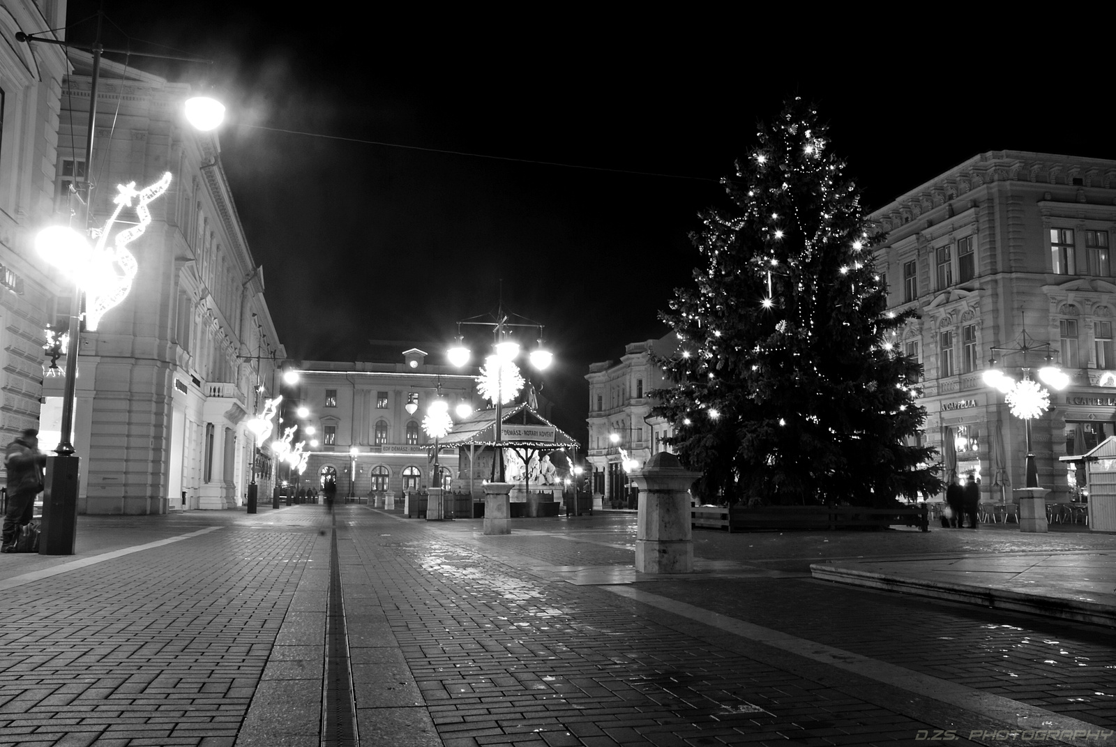 Szeged karácsonyfája