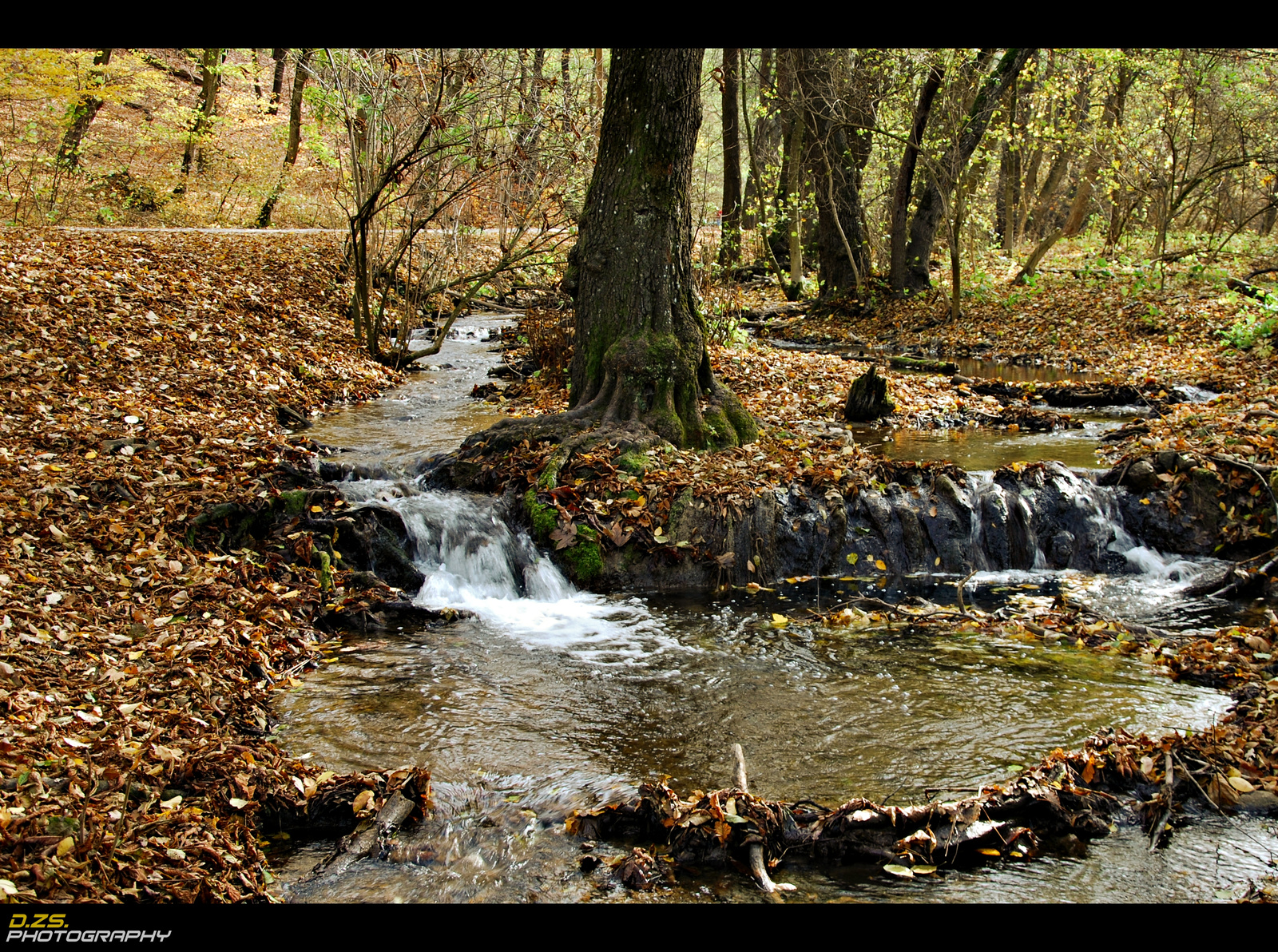 Őszi patak