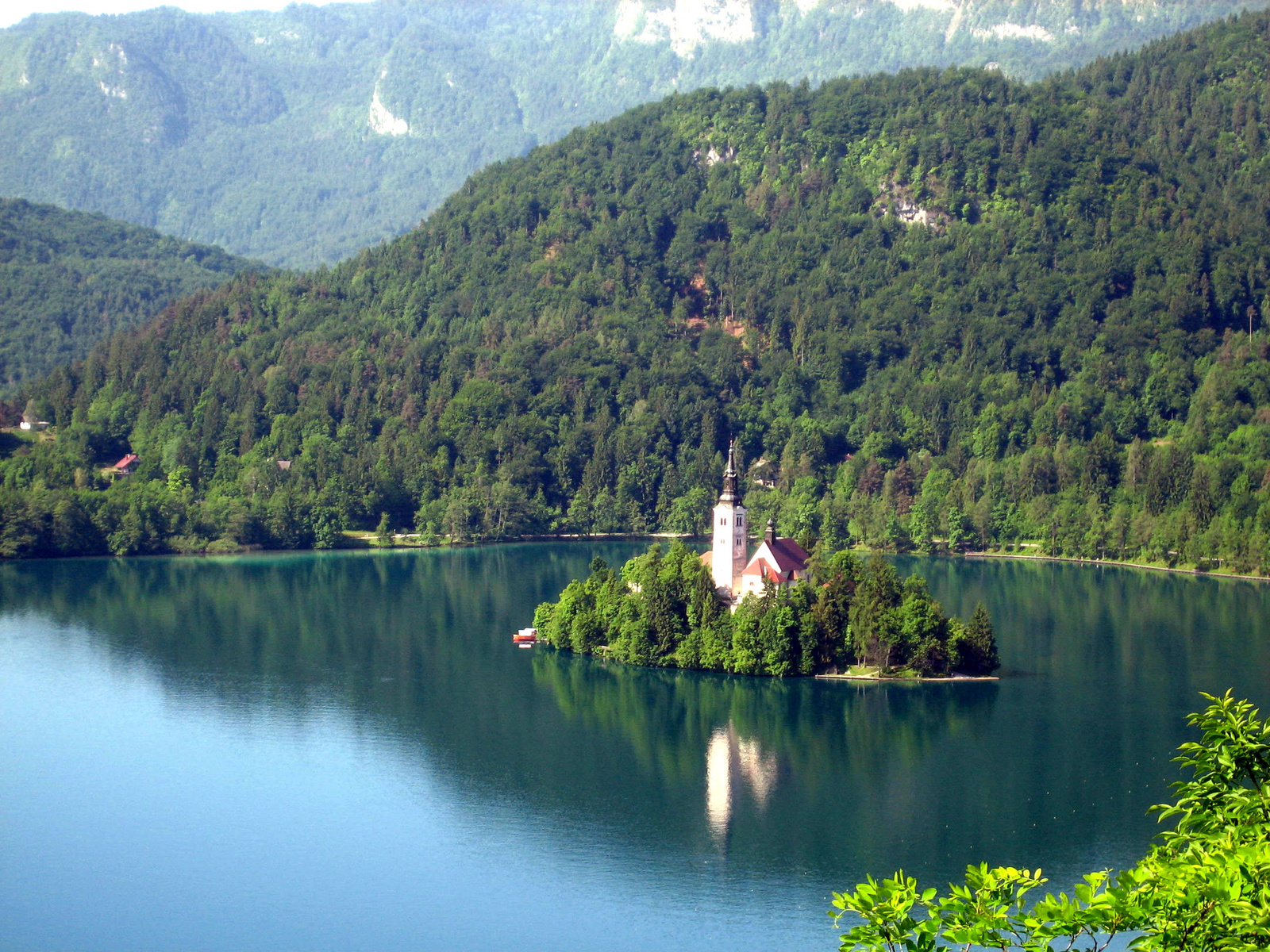 Bled 1