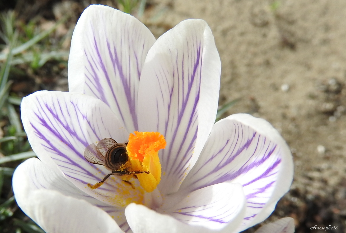 Nyakig a melóban