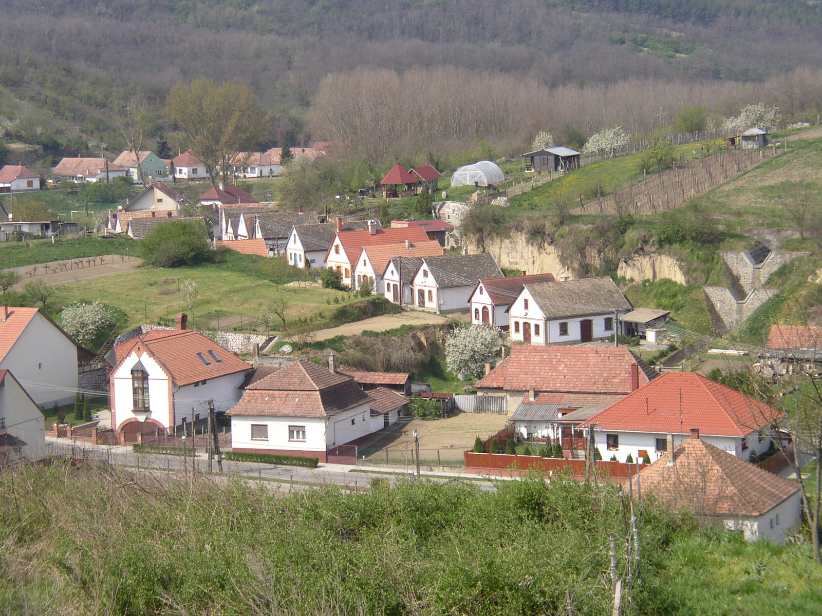 Pécs és Beregfürdő 003